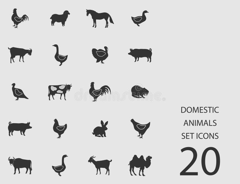 Domestic Animals Set of Flat Icons. Vector Illustration Stock Vector -  Illustration of icon, feathers: 119851317
