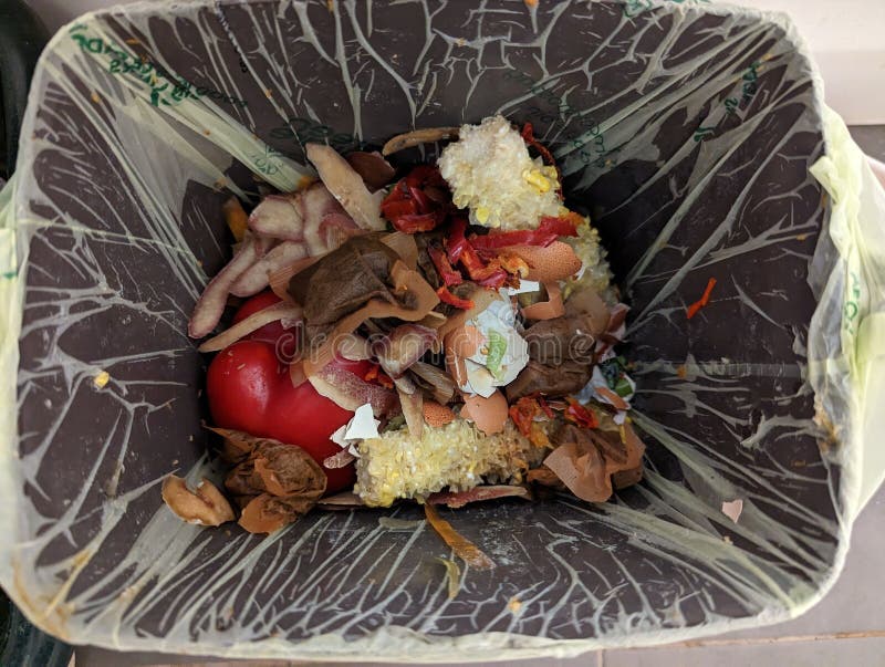 Domestic Compost Garbage Bin with Food Waste in a Restaurant Stock Image Image of discardable