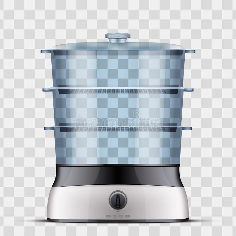 Domestic Food Steamer