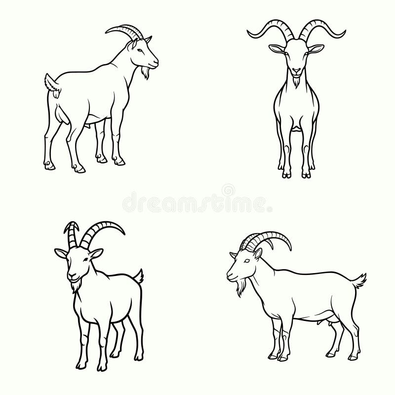 Line art illustrations of four goats, each in a distinct pose, emphasizing varied horn shapes and body postures. The goats are depicted in a simplistic, clean black-and-white style on a plain background. This artwork highlights both domestic and wild goats, showcasing differences in their features such as horn curvature and beard length. The minimalist approach focuses on the anatomical structure and character of the goats. Nanny logo vectors