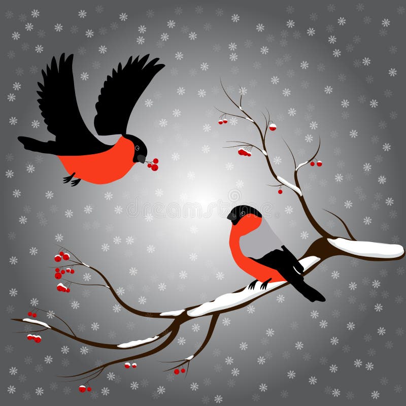 Domherre på rönnfilialen, snö, glad jul, grå bakgrund Vintervektorillustration vektor illustrationer