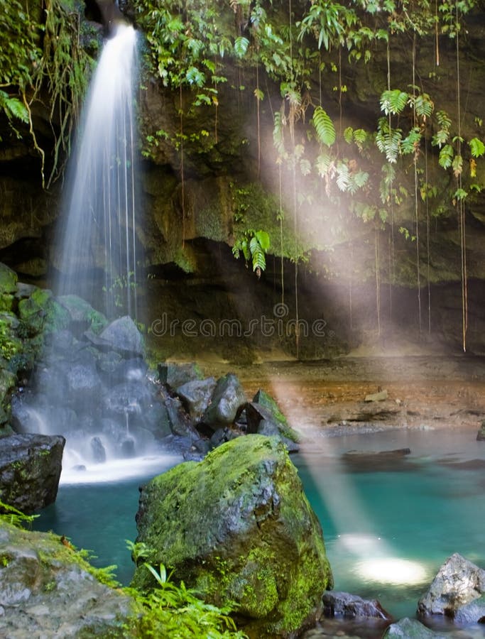 Dominica Explorations