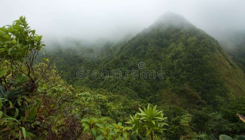 Dominica Explorations