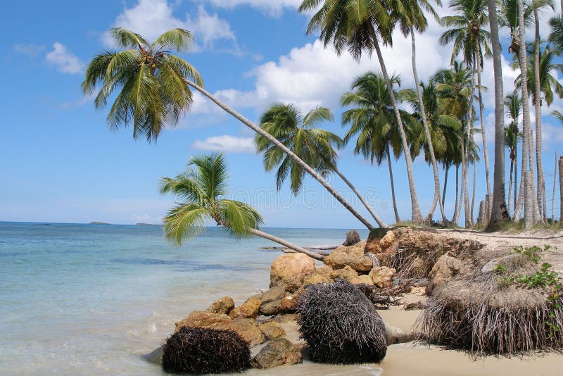 Dominican republic, beach