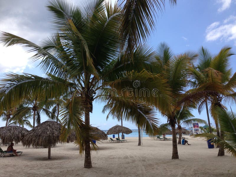 Dominican Republic palm three green hotel trip hotel vegetation flora Don Juan Boca Chica sea-sand sky blue