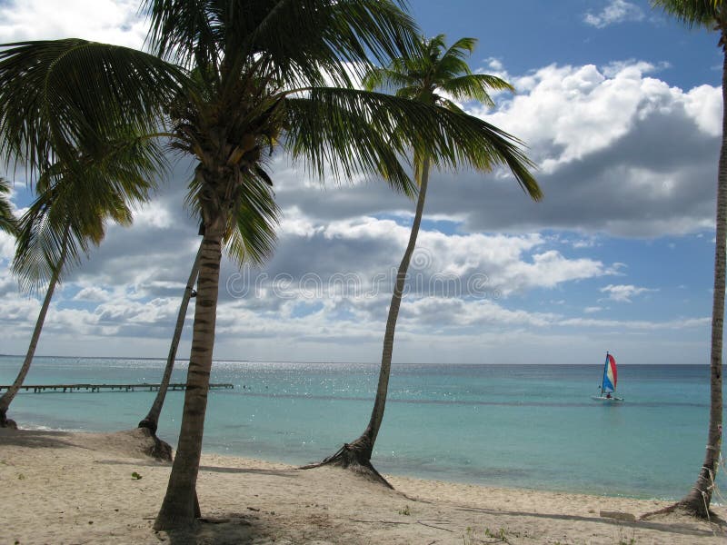 Dominikansk dominicusrepublik för strand