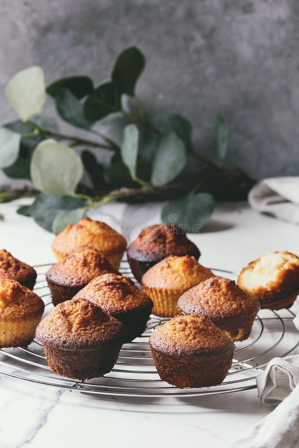 Domowej roboty cytryn muffins zdjęcia stock Domowej roboty cytryn muffins zdjęcia stock