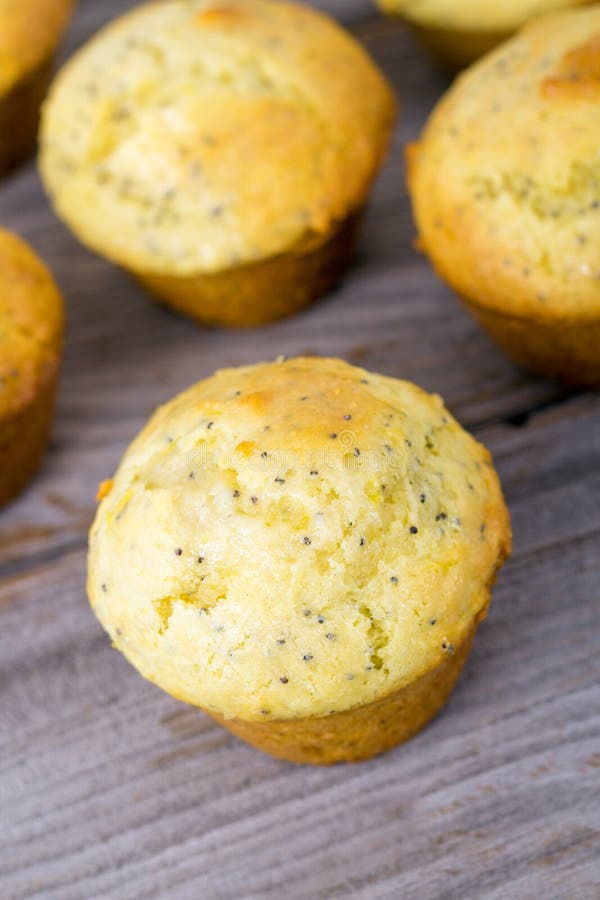 Domowej roboty cytryny makowego ziarna muffins fotografia royalty free