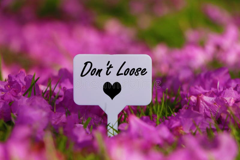 Don`t Loose heart quote. stock photography