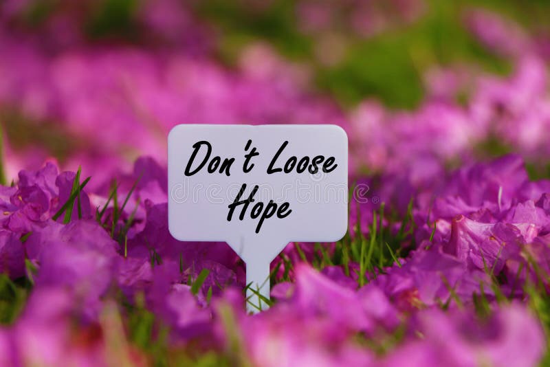Don`t Loose hope quote. royalty free stock photo