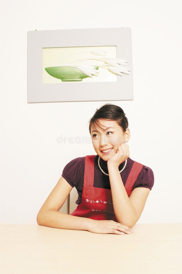 Dona de casa foto de stock royalty free