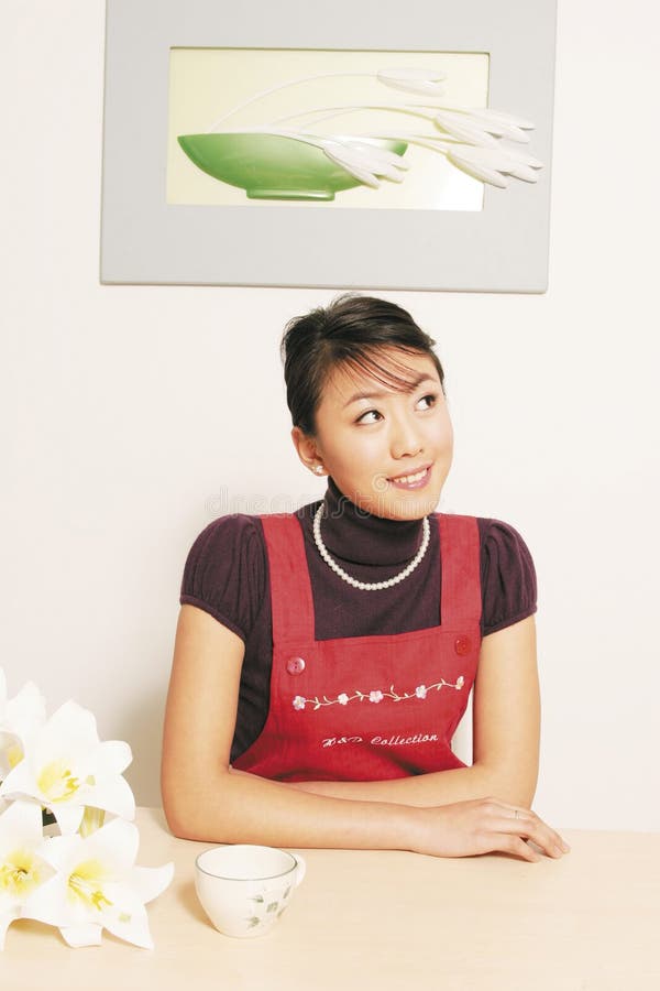 Dona de casa foto de stock