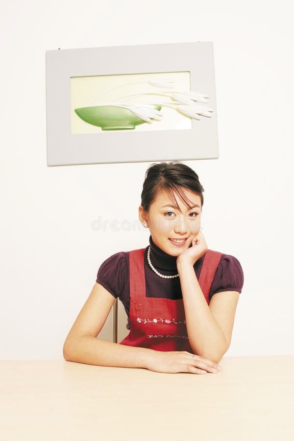 Dona de casa imagem de stock royalty free