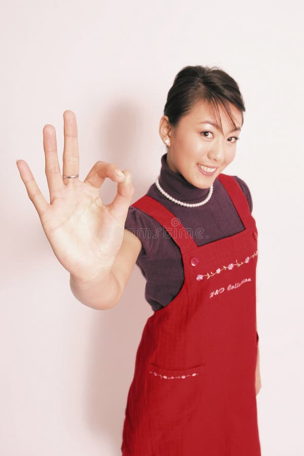 Dona de casa imagens de stock