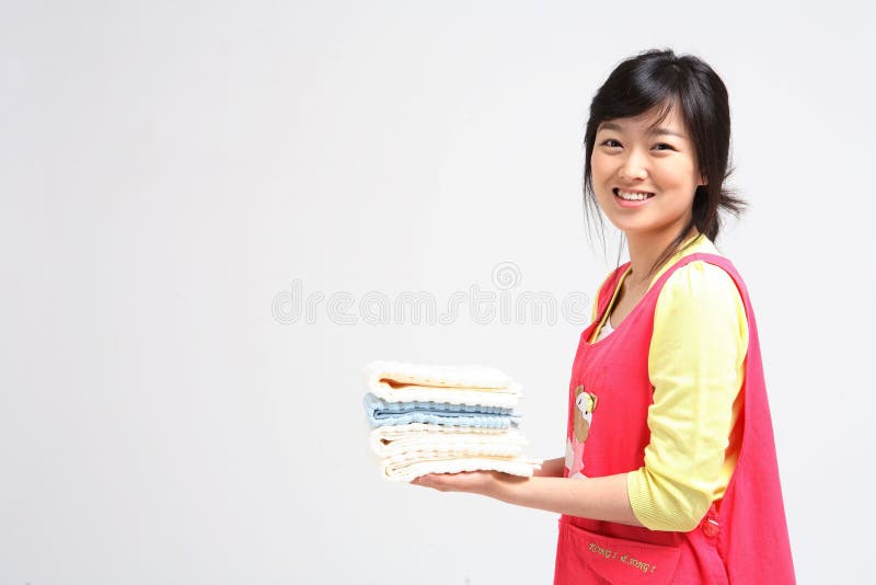 Dona de casa imagem de stock royalty free