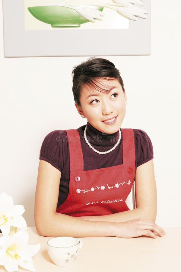 Dona de casa imagem de stock royalty free