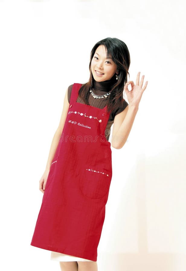 Dona de casa imagens de stock