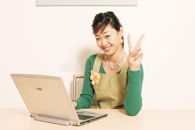 Dona de casa foto de stock