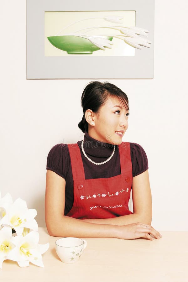 Dona de casa fotografia de stock