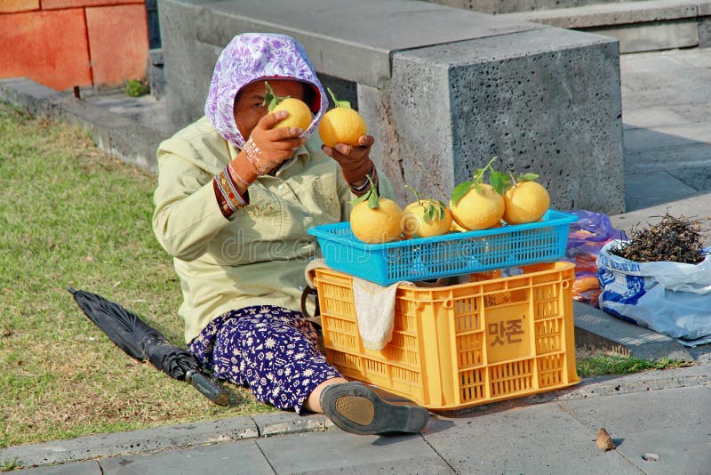 A dona de casa senta-se vendendo laranjas e erva foto de stock royalty free