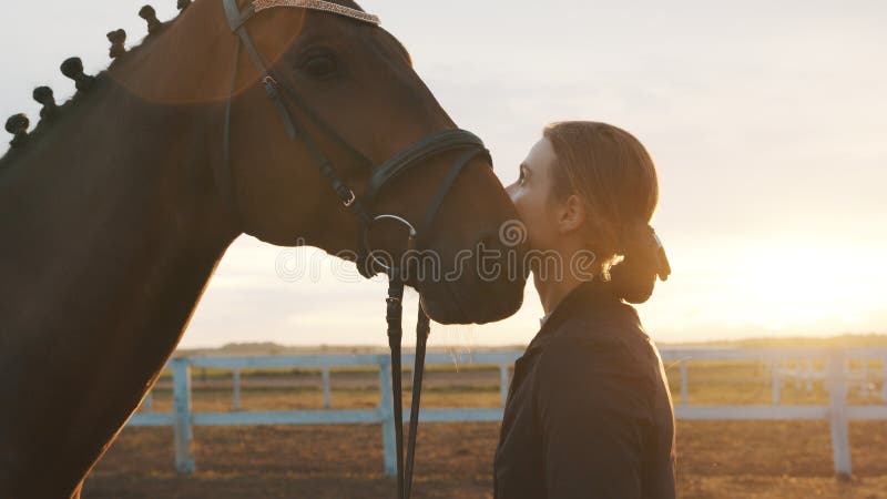 Menina Com Seu Cavalo De Baía Escura Segurando Sua Corda Na Arena Arenosa  Foto de Stock - Imagem de animal, lazer: 225970050