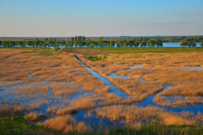 Donau-Delta-Sonnenuntergang stockbild Donau-Delta-Sonnenuntergang stockbild
