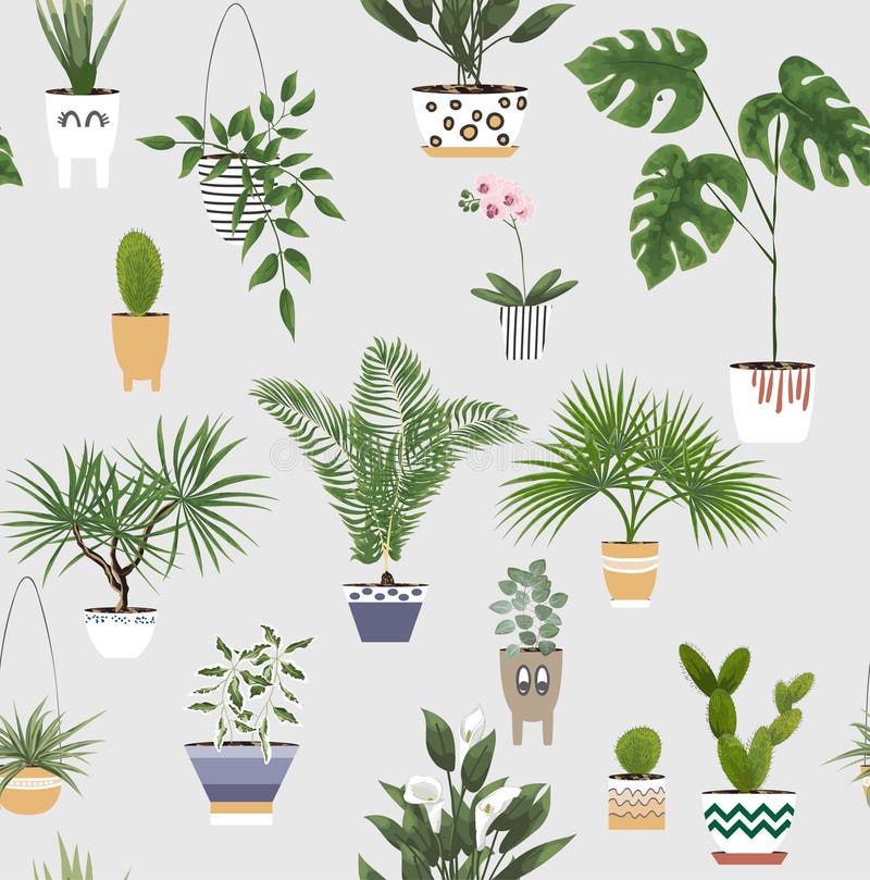Doniczkowe rośliny i kwiaty w różnych garnkach i plantatorach wektor ilustracji Doniczkowe rośliny i kwiaty w różnych garnkach i plantatorach wektor ilustracji