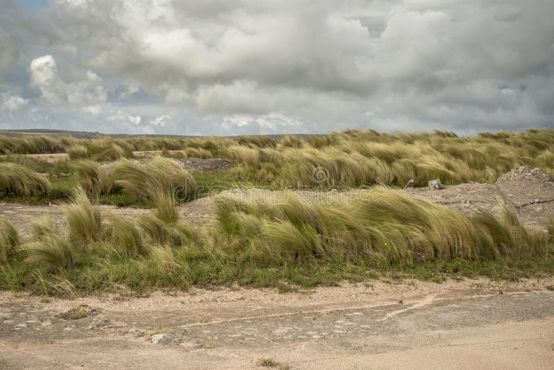 Donkere wolken over de woestijn royalty-vrije stock fotografie