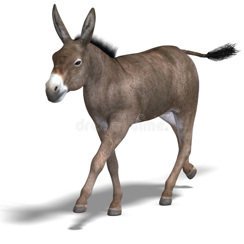 Donkey Render stock illustration. Illustration of animal - 9391673