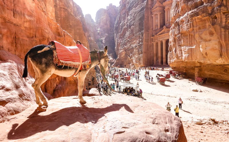 Donkey and tourists in the lost city of Petra Jordan