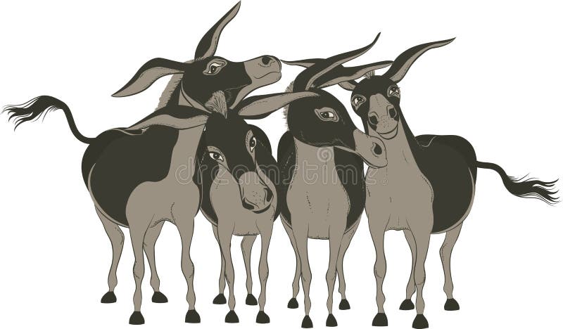 Donkeys vector illustration Donkeys vector illustration