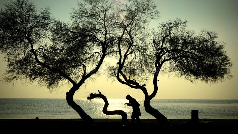 Donna anziana degli alberi e della gente che cammina su una canna immagini stock Donna anziana degli alberi e della gente che cammina su una canna immagini stock