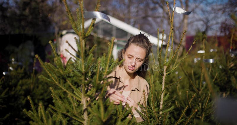 Donna che sceglie un albero di Natale di pino in un giardino pieno di verde lussuoso in una giornata di sole video d archivio