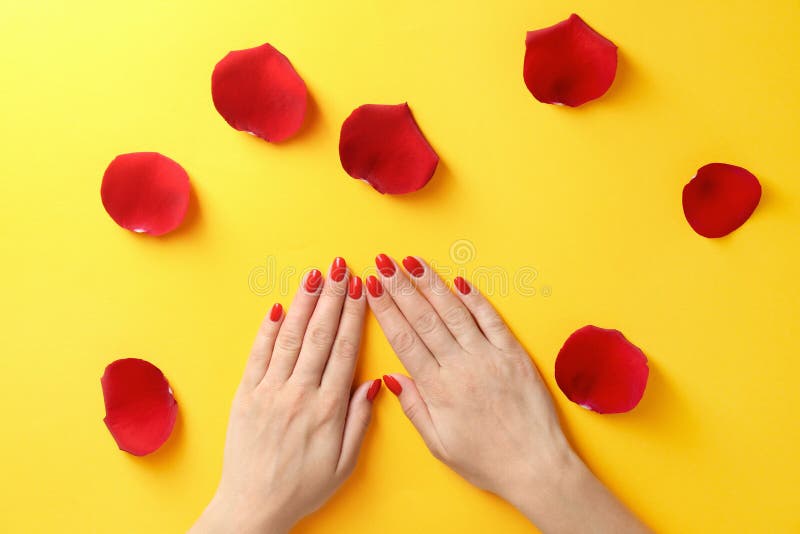 Woman holding hands near rose petals on color background, top view. Beautiful nail polish. Woman holding hands near rose petals on color background, top view. Beautiful nail polish