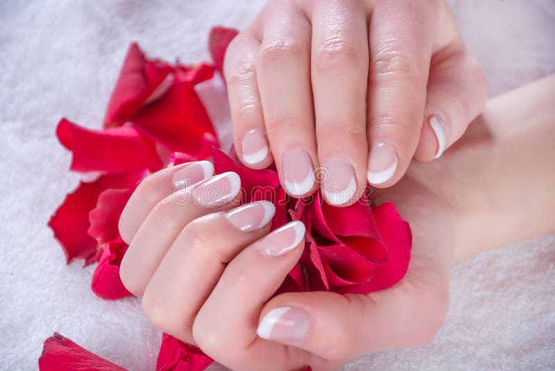 Girl with french nails polish manicure holding red rose petals in beauty salon. Beauty and Manicure concept. Close up, selective focus. Girl with french nails polish manicure holding red rose petals in beauty salon. Beauty and Manicure concept. Close up, selective focus