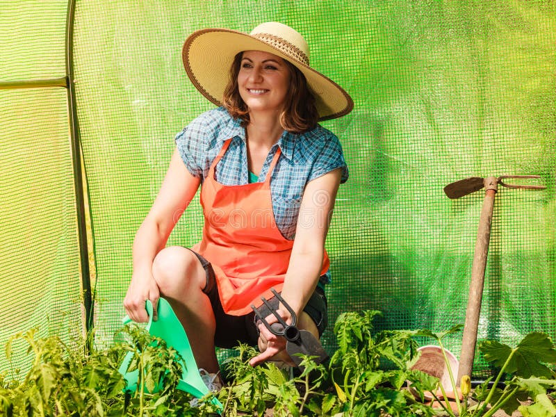 Donna con lo strumento di giardinaggio che funziona nella serra immagini stock Donna con lo strumento di giardinaggio che funziona nella serra immagini stock