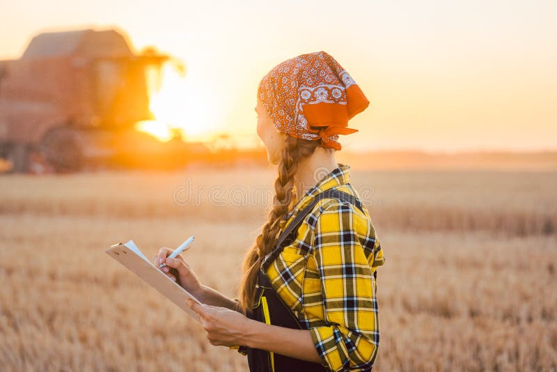 Donna dell'agricoltore e mietitrebbiatrice sul giacimento di grano immagine stock libera da diritti Donna dell'agricoltore e mietitrebbiatrice sul giacimento di grano immagine stock libera da diritti