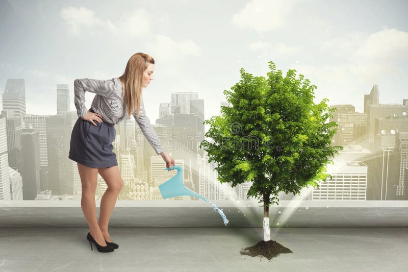 Donna di affari che innaffia albero verde sul fondo della città immagini stock Donna di affari che innaffia albero verde sul fondo della città immagini stock