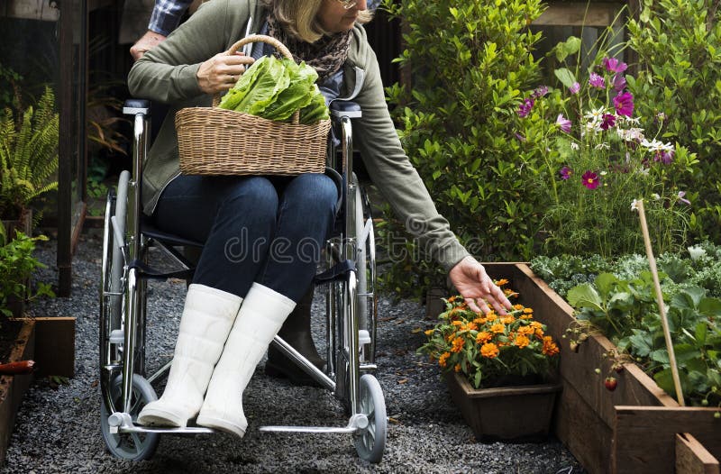 Donna disabile che tocca i fiori fotografia stock Donna disabile che tocca i fiori fotografia stock