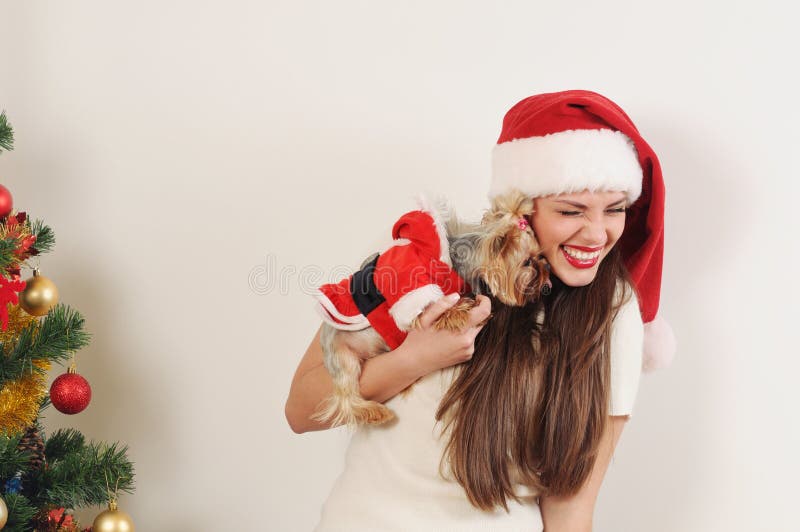 Donna divertente sveglia in cappello di Santa con il terrier di giocattolo vicino al Natale TR immagine stock libera da diritti Donna divertente sveglia in cappello di Santa con il terrier di giocattolo vicino al Natale TR immagine stock libera da diritti