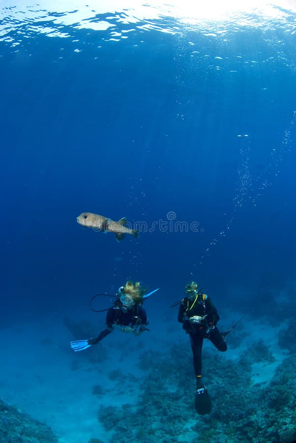 Donna due con un pesce immagini stock Donna due con un pesce immagini stock