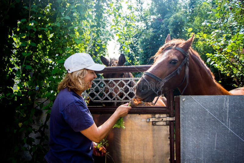 Donna e cavallo immagini stock libere da diritti Donna e cavallo immagini stock libere da diritti