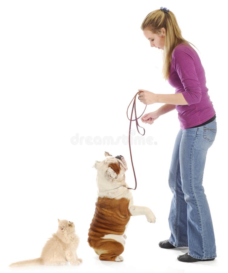 Donna ed i suoi animali domestici immagini stock Donna ed i suoi animali domestici immagini stock