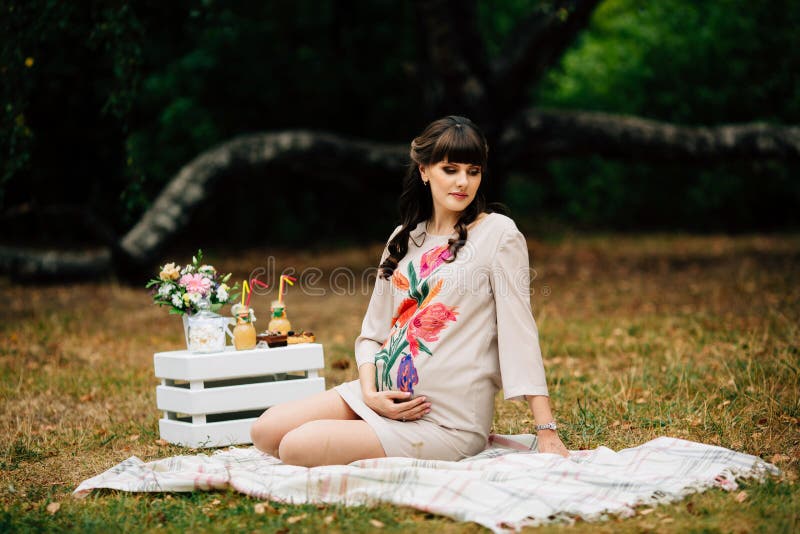Donna incinta attraente sulla coperta a quadretti nel parco di autunno fotografia stock libera da diritti Donna incinta attraente sulla coperta a quadretti nel parco di autunno fotografia stock libera da diritti