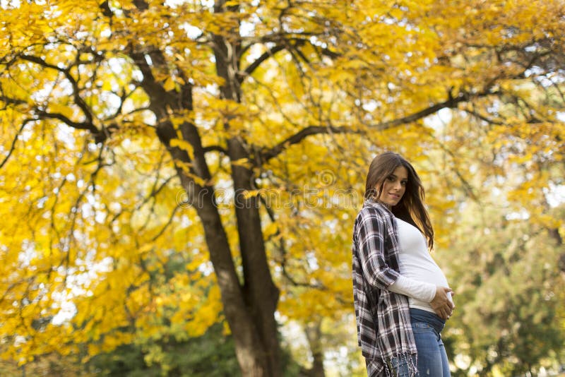 Donna incinta nella sosta di autunno immagini stock Donna incinta nella sosta di autunno immagini stock