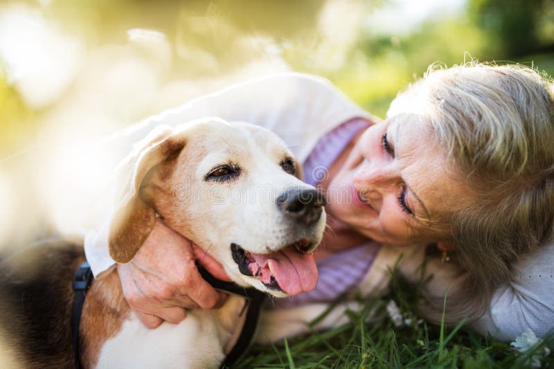 Donna senior con il cane nella natura di primavera, riposante immagine stock Donna senior con il cane nella natura di primavera, riposante immagine stock