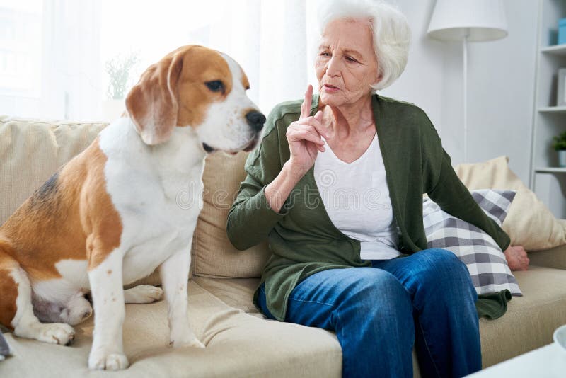 Donna senior con l'animale domestico fotografia stock Donna senior con l'animale domestico fotografia stock