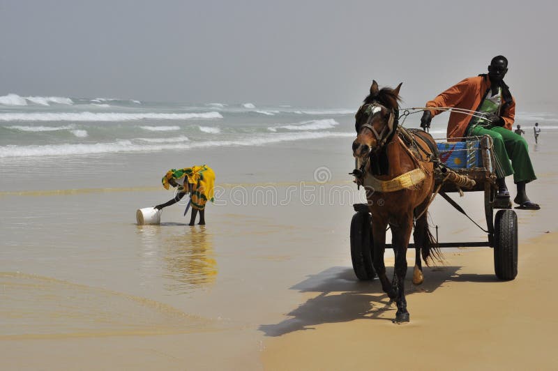 Donne all'oceano ed al vagone per il trasporto dei lingotti condotto cavallo immagine stock Donne all'oceano ed al vagone per il trasporto dei lingotti condotto cavallo immagine stock