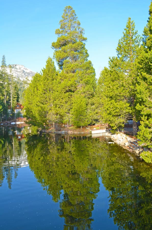 Donner Lake Park 2 stock image. Image of california, stream 39905995