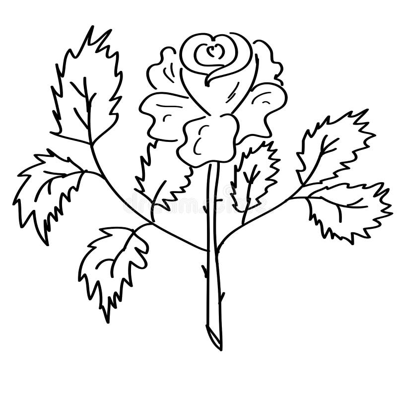 Doodle Cartoons Rose on White Background Stock Illustration Illustration of cartoons, comic